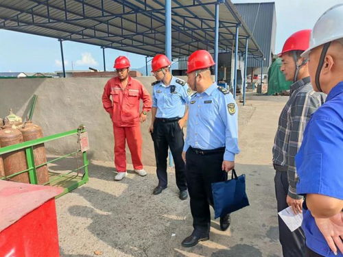 普陀區船舶修造企業攻堅整治行動檢查組來桃督導檢查