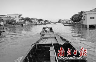 再見(jiàn),老伙計(jì)