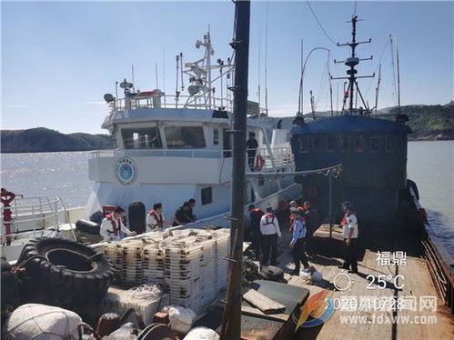 我市持續(xù)開展 封港清查 取締大中型涉漁 三無 船舶專項行動