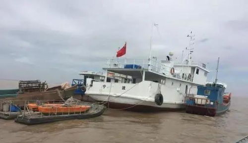 浙江寧波 分批次集中拆解195條涉漁 三無 船舶