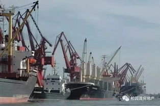 為什么李嘉誠投資防城港