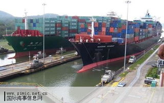 拆解量走高難解運力過剩魔咒